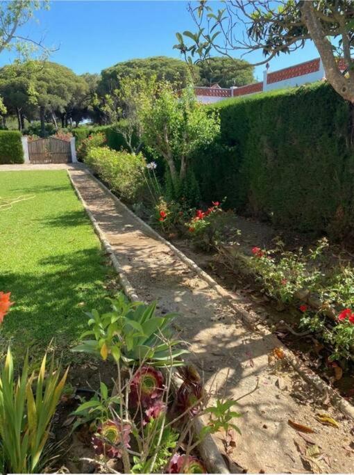 Tierra Del Sur Villa Conil de la Frontera Kültér fotó